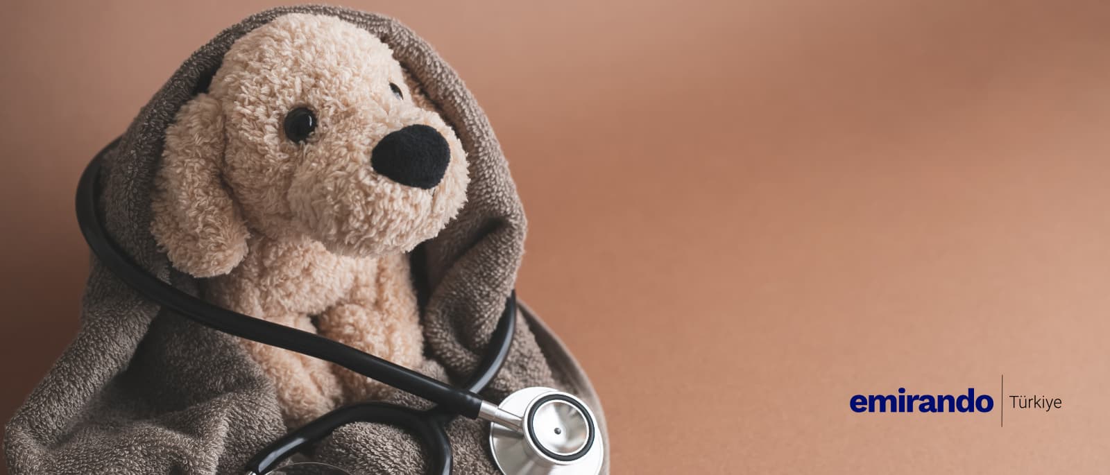 Evcil Hayvan Sigortası